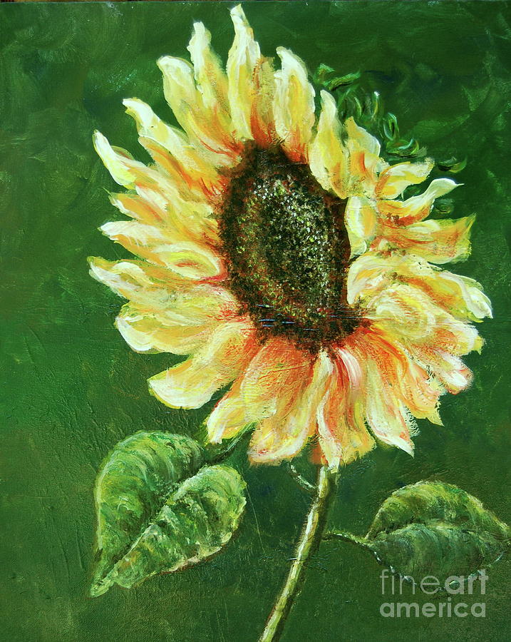 Sunflower by Tamyra Crossley Sunflower by Tamyra Crossley