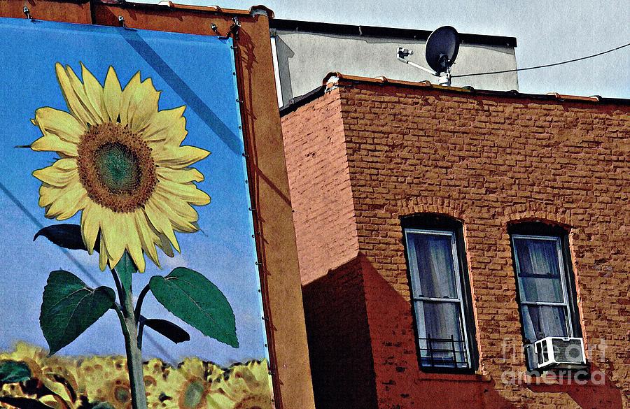 Brick Photograph - Sunflower Town by Sarah Loft