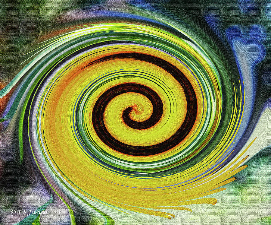 Sunflower Twirl Abstract Digital Art by Tom Janca