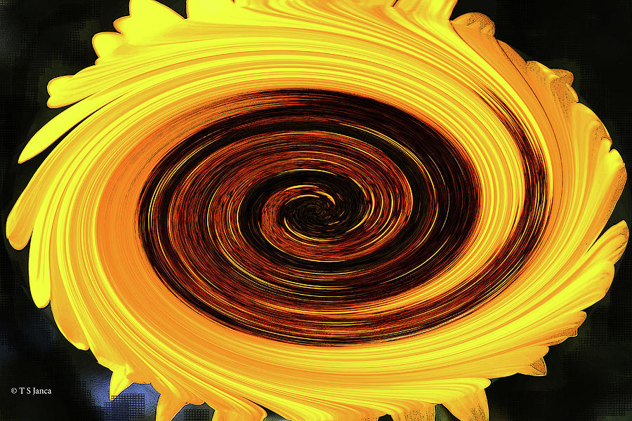 Sunflower Twirl Digital Art by Tom Janca