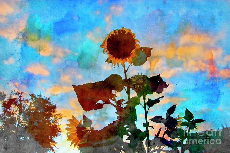 Sunflower Watercolor Photograph by Al Bourassa