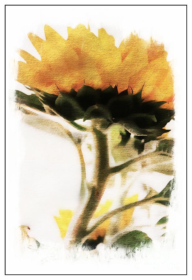 Sunflower Watercolor Photograph by Clare Bevan