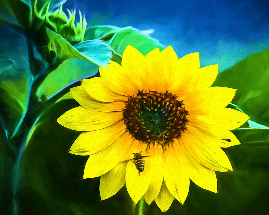 Sunflower Photograph - Sunflower - Whats All the Buzz About? by Black Brook Photography