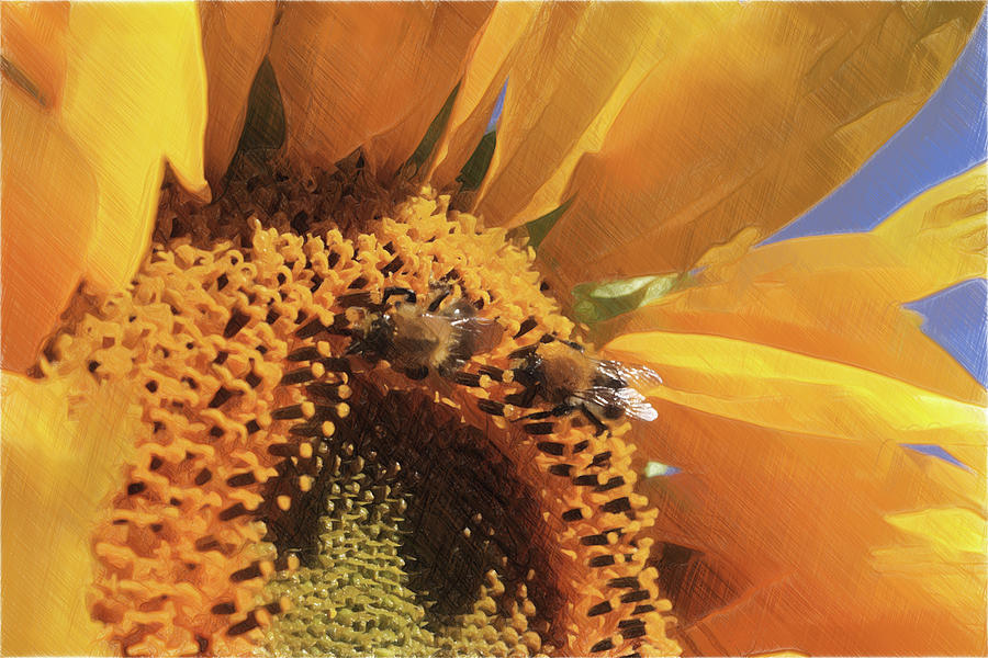 Sunflower with bees Digital Art by Rolena Art Studio - Fine Art America