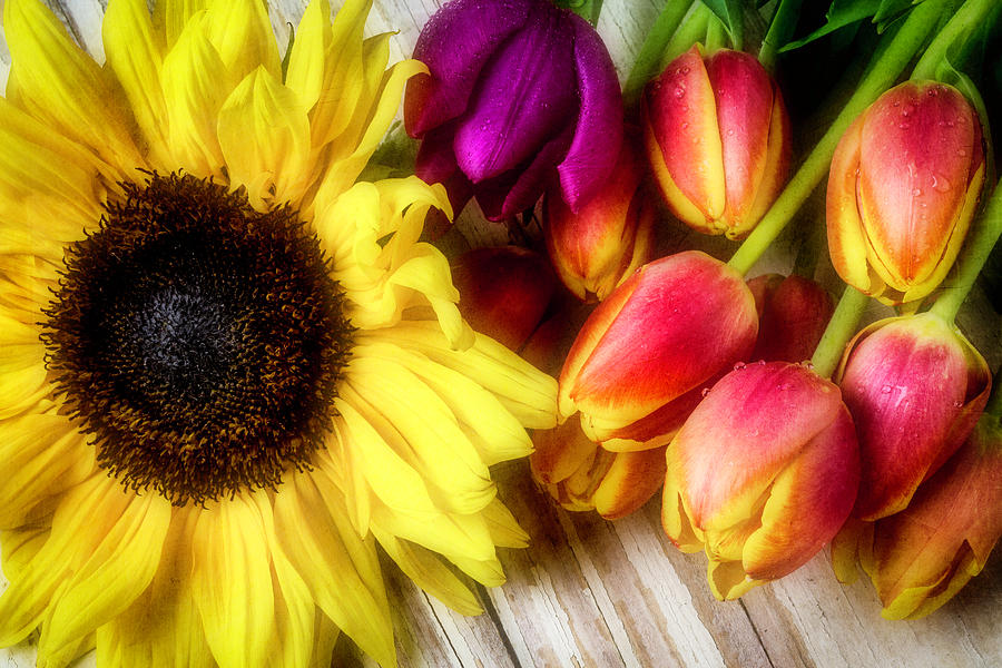 Colorful Yarn And Sunflower Photograph by Garry Gay - Fine Art America