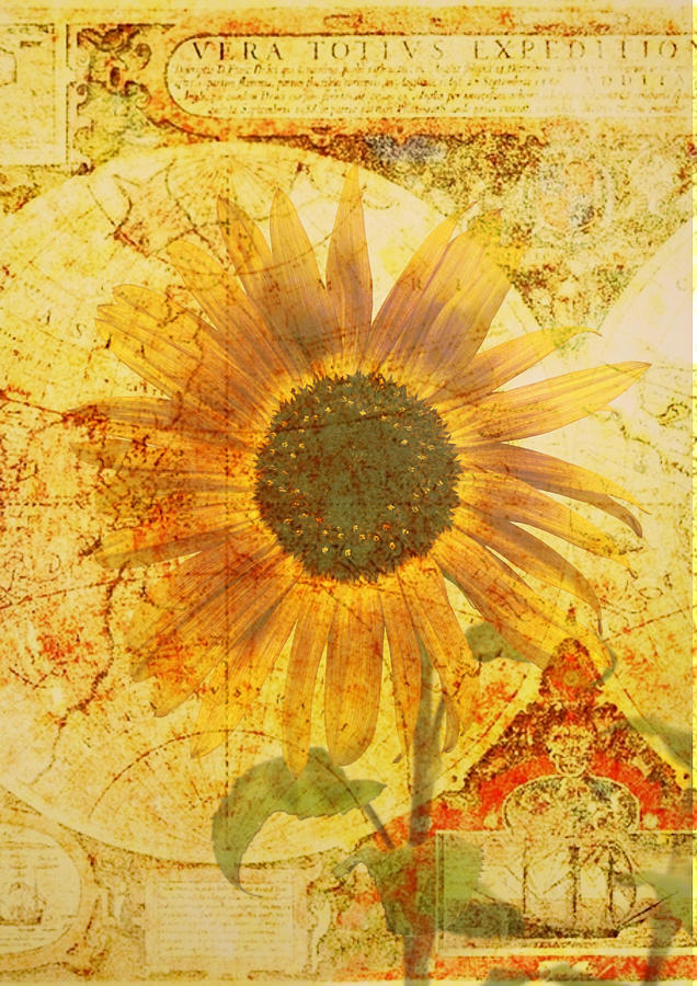 Flower Photograph - Sunflower World by Cathie Tyler