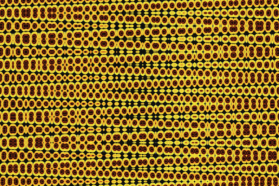 Sunflower Zig-Zag Abstract Digital Art by Tom Janca