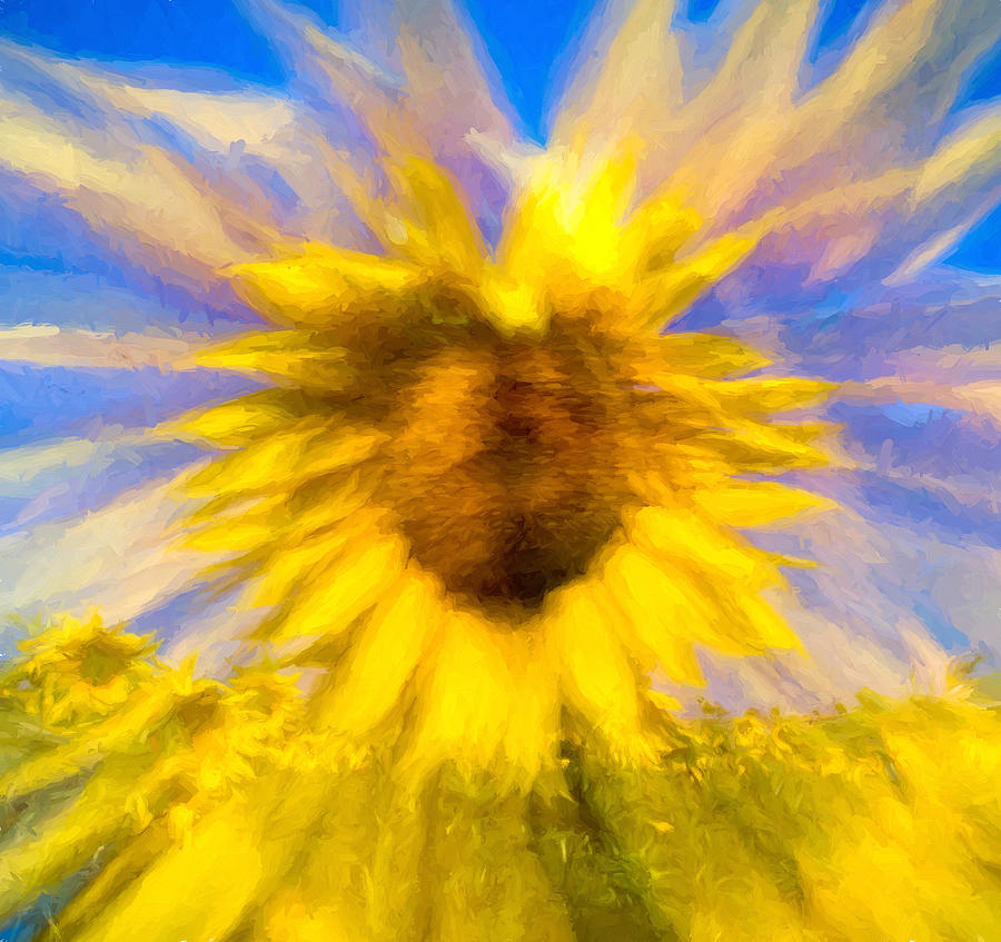 Sunflower Zoom 3 Digital Art by Roy Pedersen