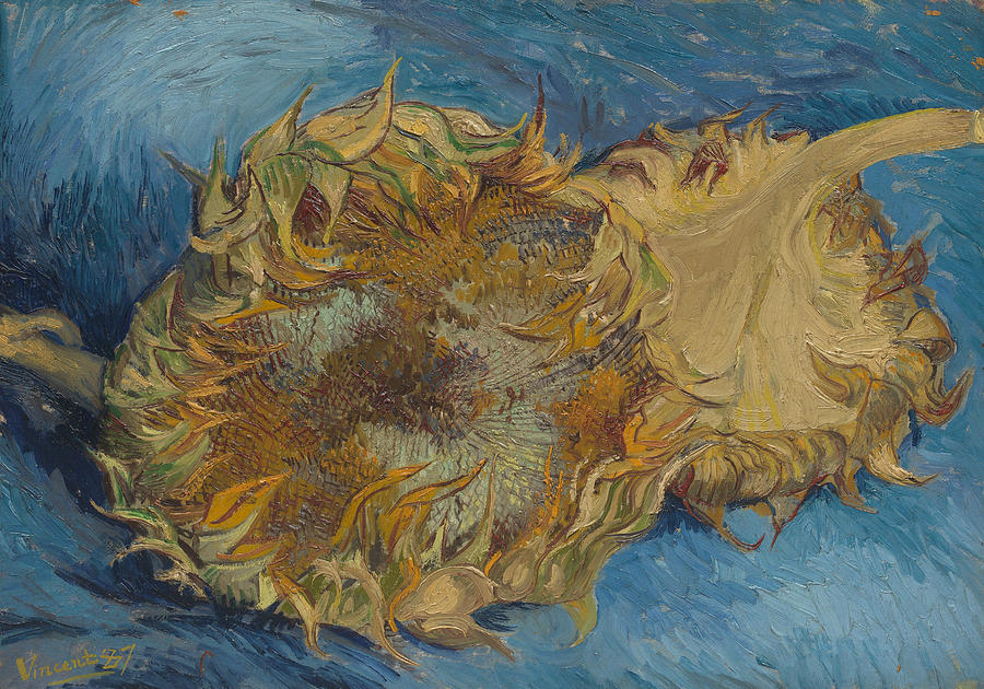 Sunflowers, 1887 Painting by Vincent van Gogh