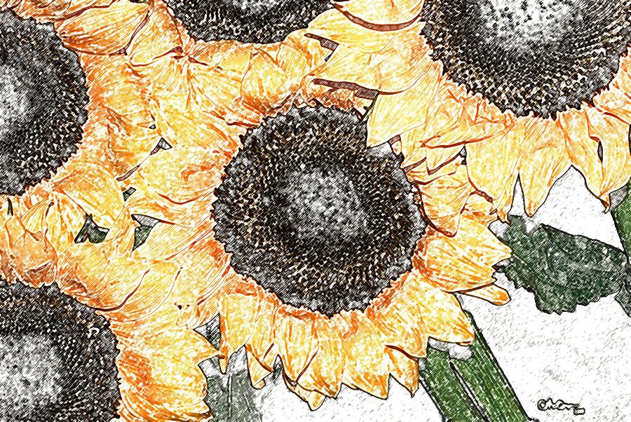 Sunflowers 3 2008 Digital Art by Christine McCole