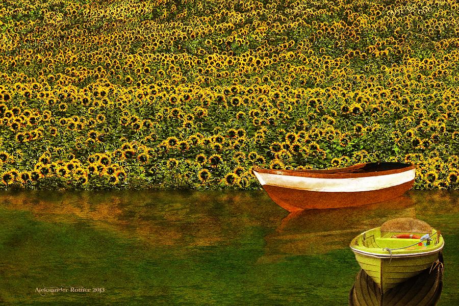 Sunflowers and Boats Photograph by Aleksander Rotner
