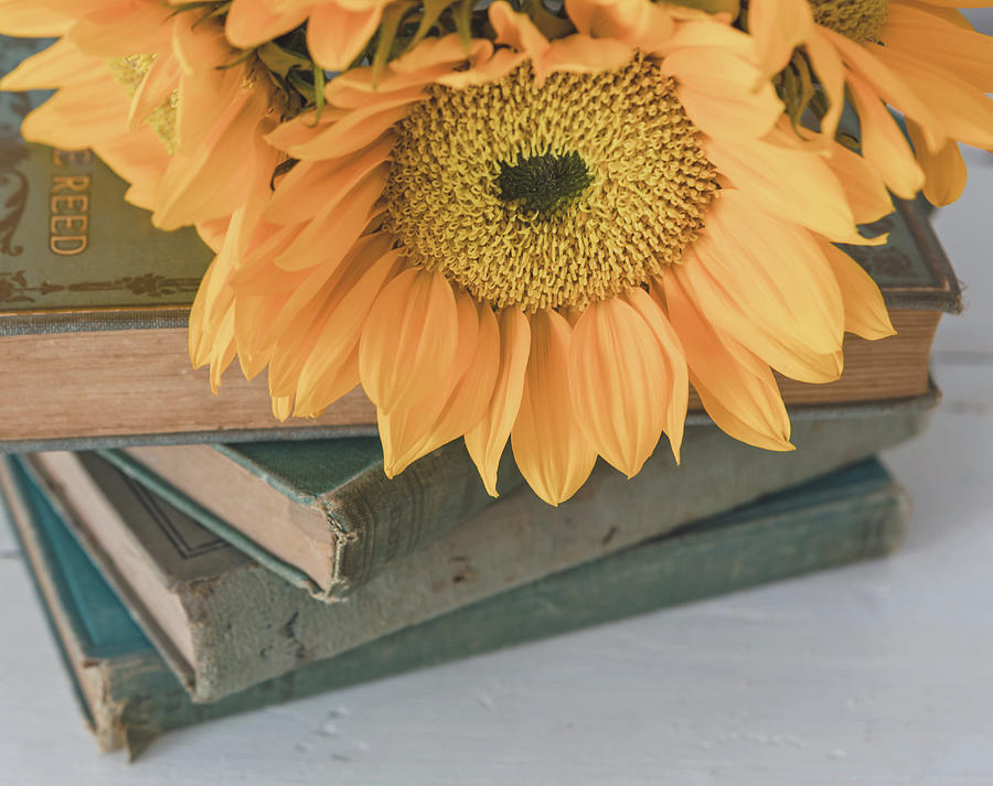 Sunflowers and Books Photograph by Kim Hojnacki