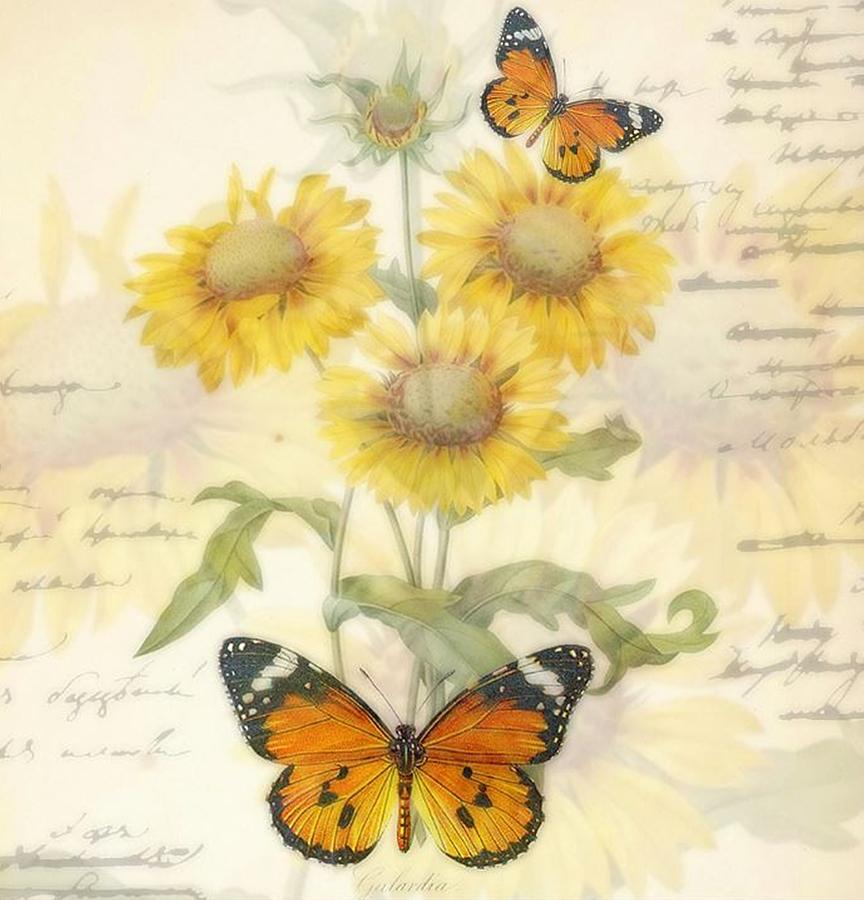 Sunflowers And Butterflies Mixed Media