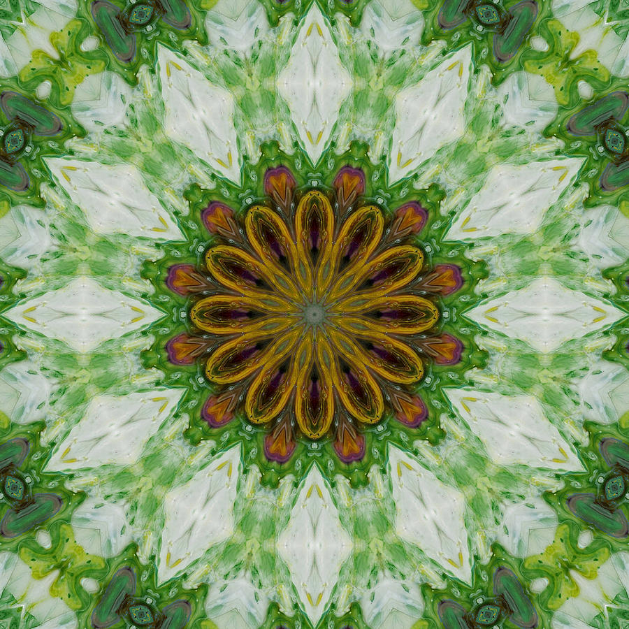 Sunflowers and Diamonds Digital Art by Lori Kingston