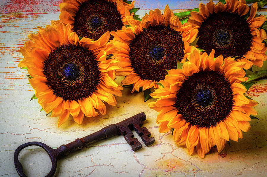 Sunflowers And Old Key Photograph by Garry Gay