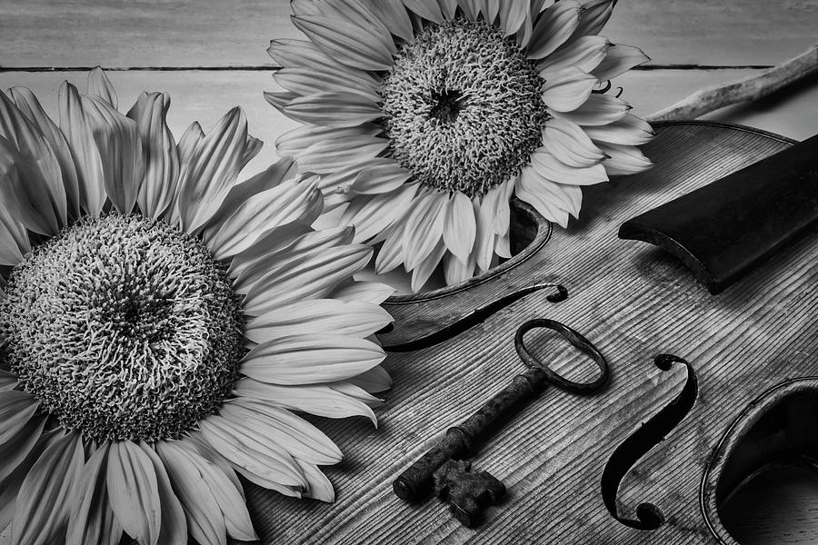 Sunflowers And Violin Black And White Photograph by Garry Gay