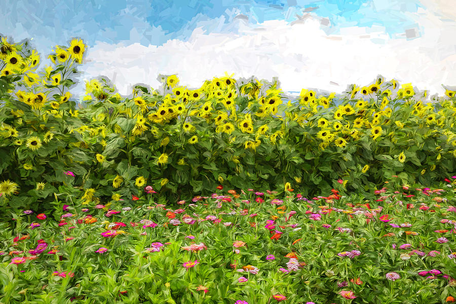 Sunflowers And Zinnias Painterly Photograph by Lorraine Baum