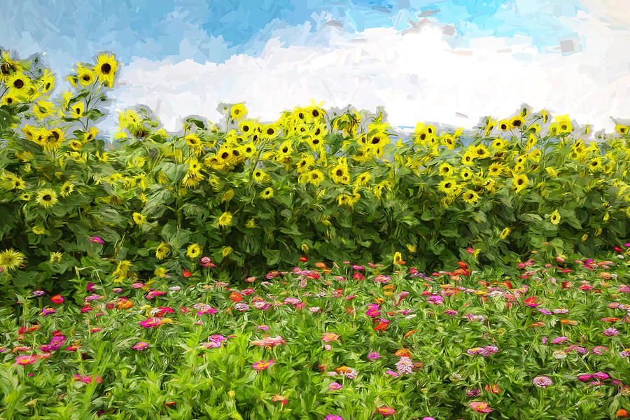 Image of Sunflowers and Zinnias flowers