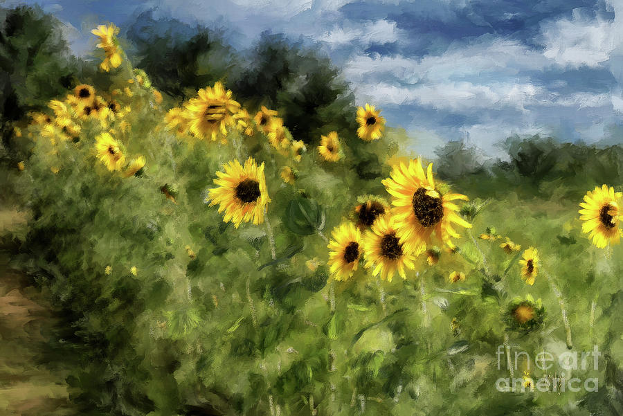 Sunflowers Bowing And Waving Digital Art by Lois Bryan