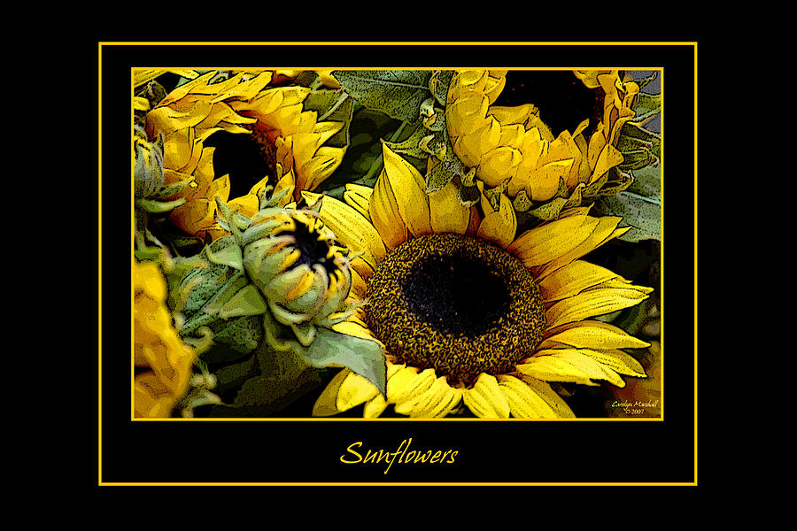 Flower Photograph - Sunflowers by Carolyn Marshall
