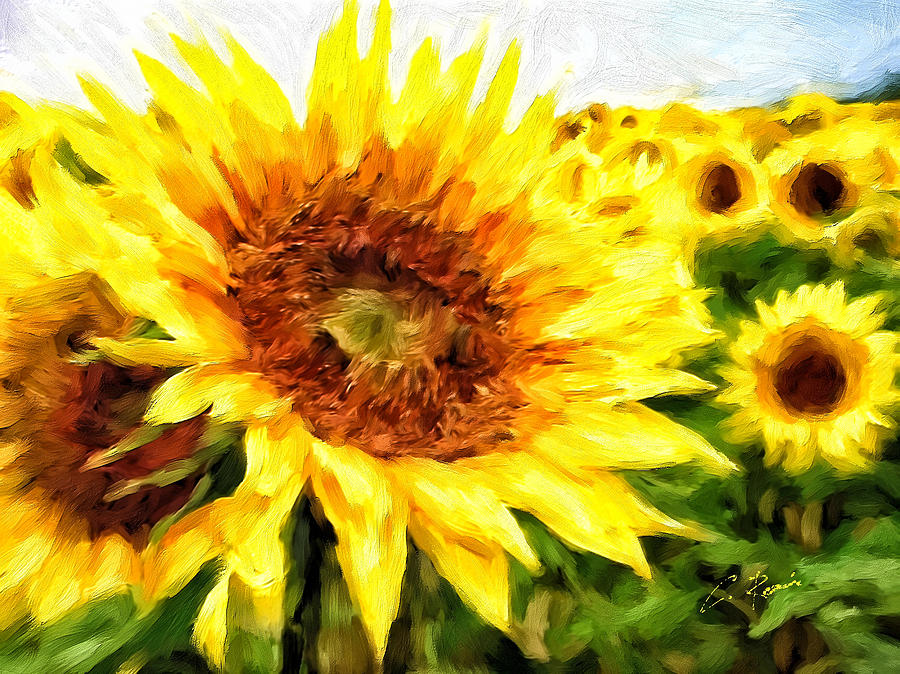 Sunflowers Digital Art by Charlie Roman
