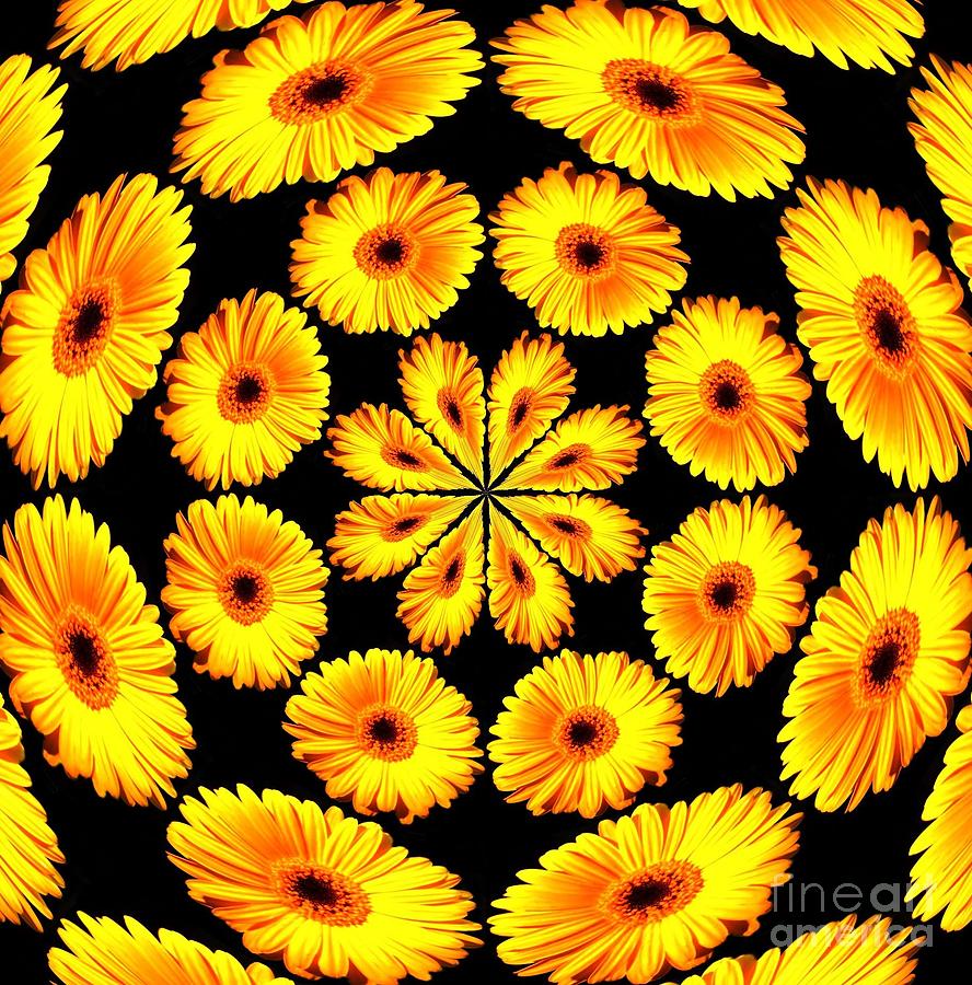 Sunflowers Photograph by Charuhas Images