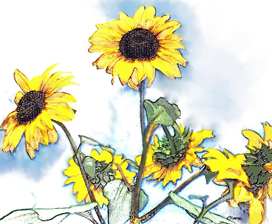 Sunflowers Digital Art by Cindi Lane - Fine Art America