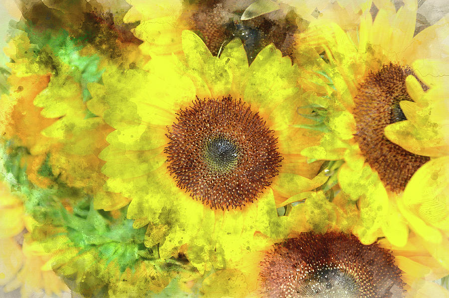 Sunflowers Close Up Photograph by Brandon Bourdages