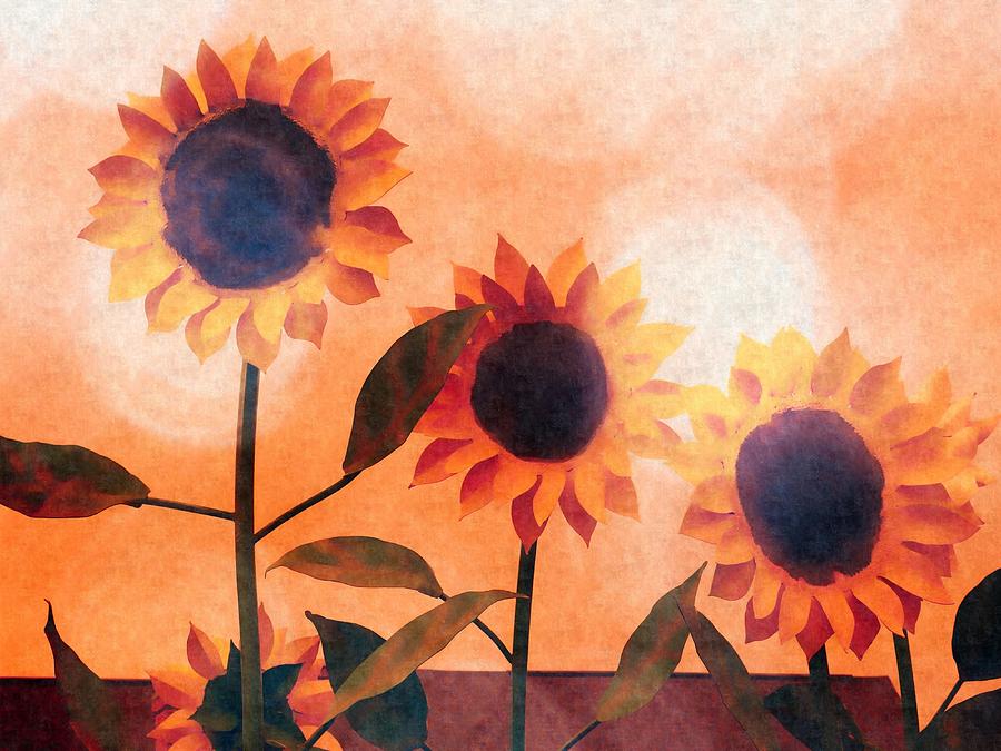 Sunflowers by David Kuhn Sunflowers by David Kuhn