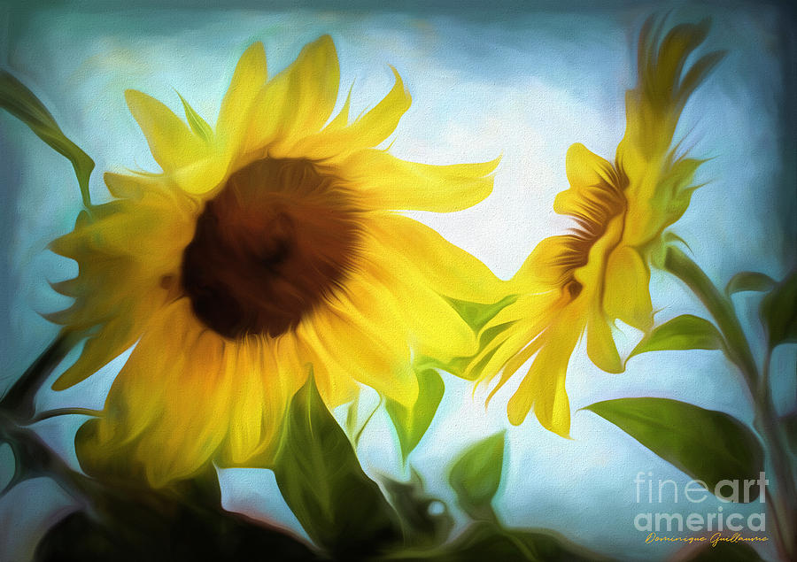 Sunflowers duet by Dominique Guillaume Sunflowers duet by Dominique Guillaume