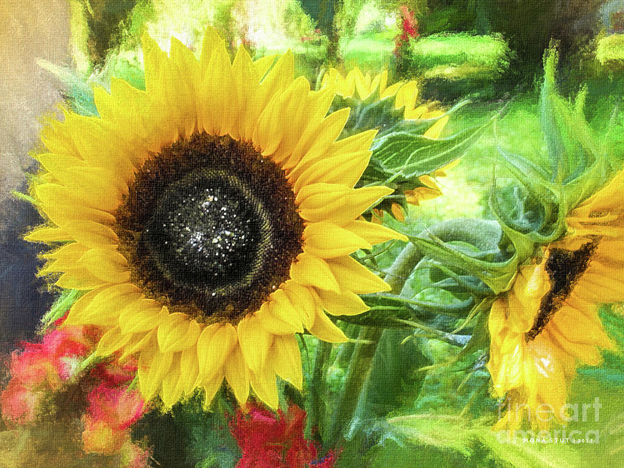 Nature Digital Art - Yellow Sunflowers Flourish Visions of Summer by Mona Stut