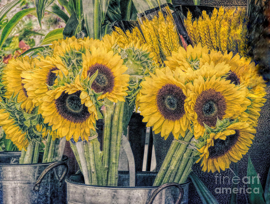 Flower Photograph - Sunflowers for Sale by Janice Drew