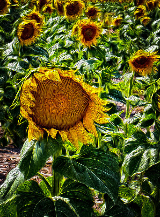 Sunflowers Glaze Painting by Michael Gross
