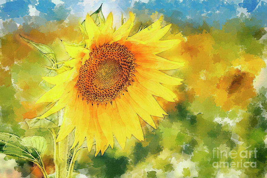 Sunflowers I Digital Art