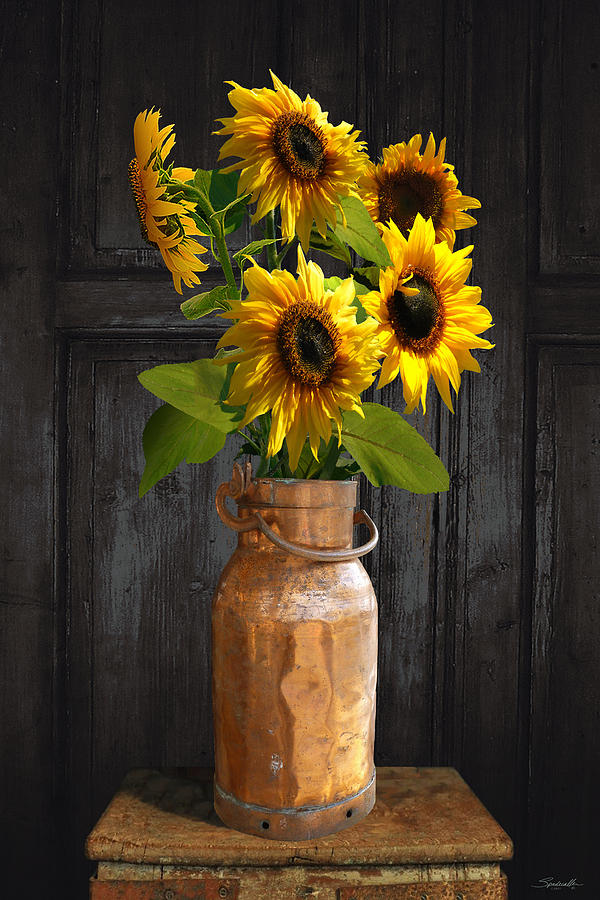 Sunflowers in Copper Milk Can Digital Art by M Spadecaller