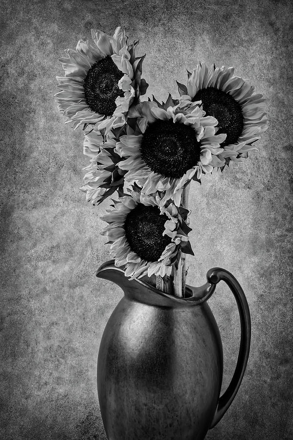 Sunflowers In Pitcher Black And White Photograph by Garry Gay