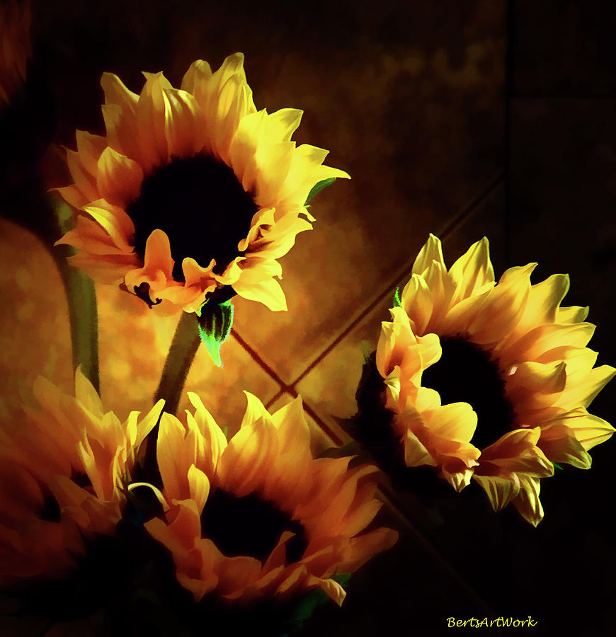 Sunflowers in Shadow Photograph by Roberta Byram