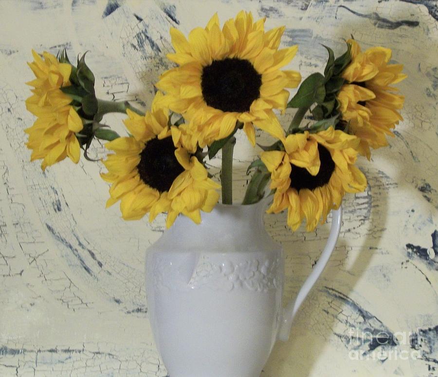 Vase Photograph - Sunflowers in the Country by Marsha Heiken