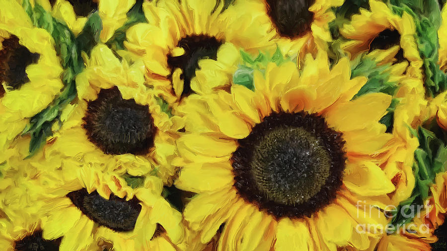 Sunflower Photograph - Sunflowers by Jeff Breiman