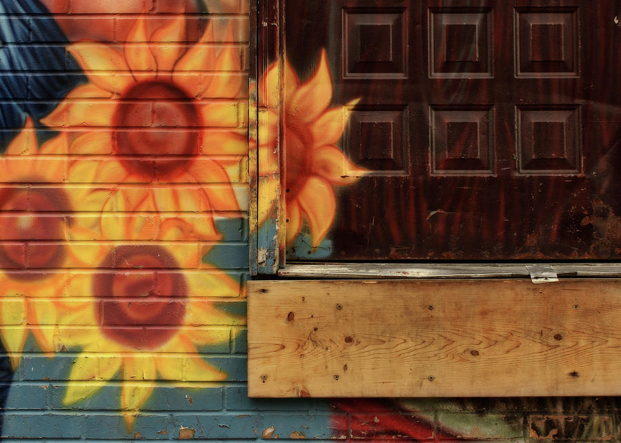 Sunflowers - Loading Dock Photograph by Nikolyn McDonald