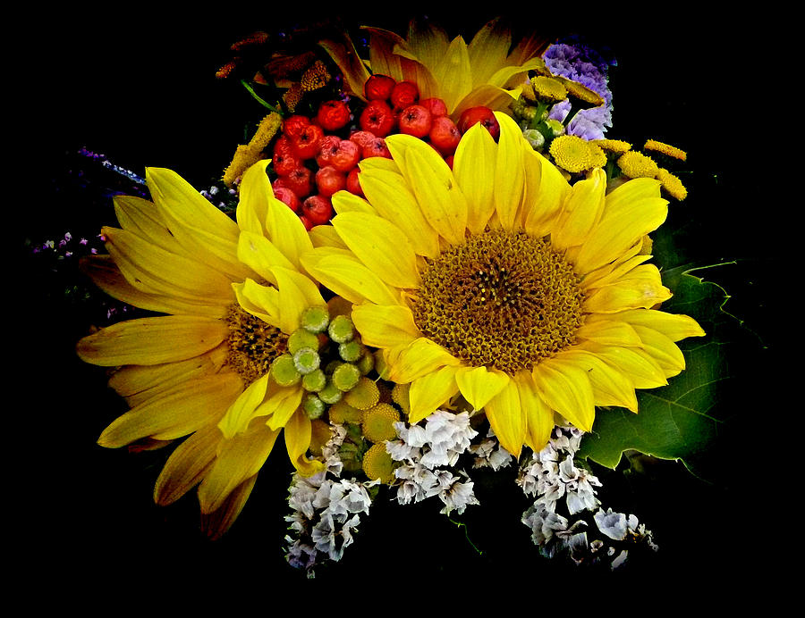 Sunflowers Photograph by Lori Seaman