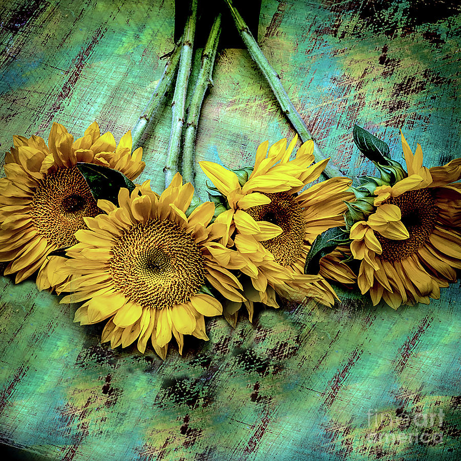 Sunflowers, Make Me Happy Photograph