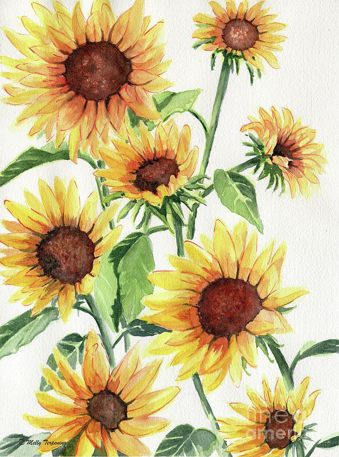Sunflowers Painting by Melly Terpening