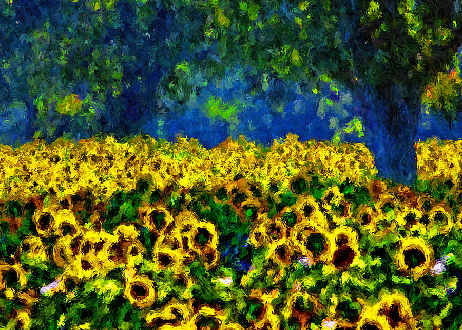 Flower Painting - Sunflowers No2 by Michael Thomas