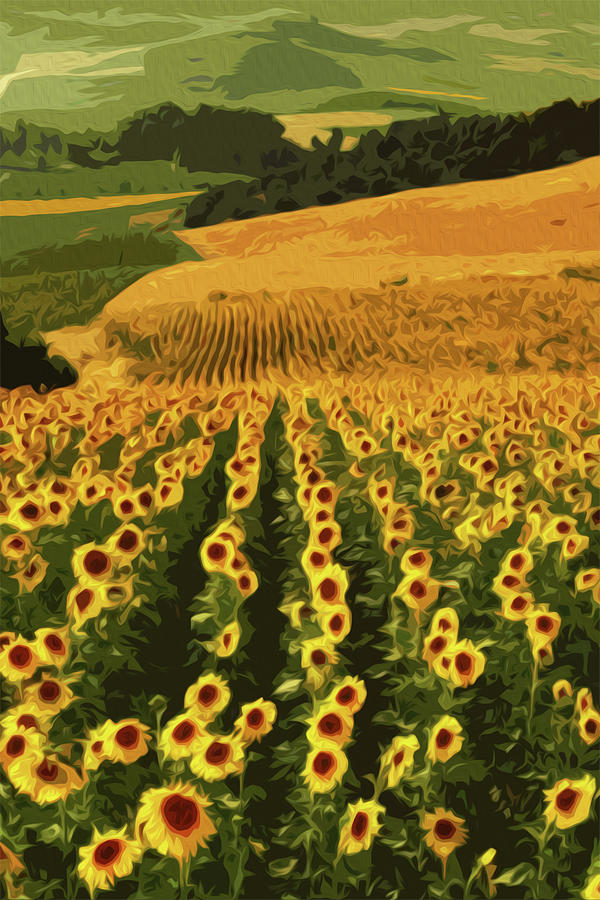 Sunflowers of Andalucia Painting by AM FineArtPrints