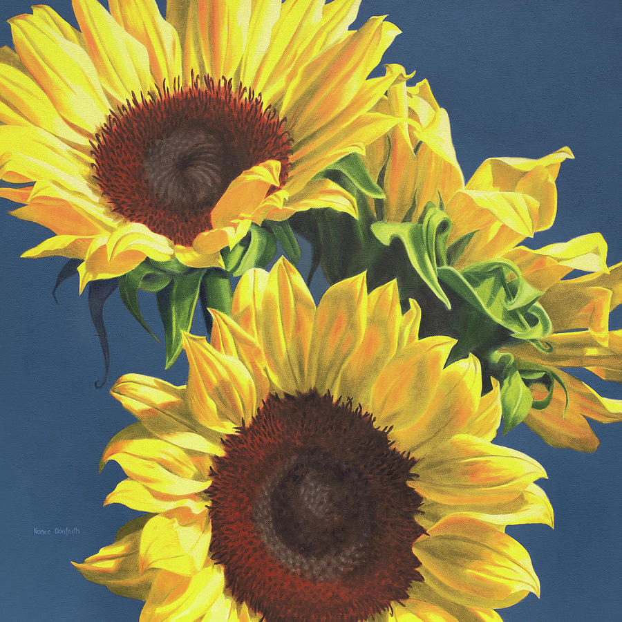 Sunflowers On Blue Painting by Nance Danforth - Fine Art America