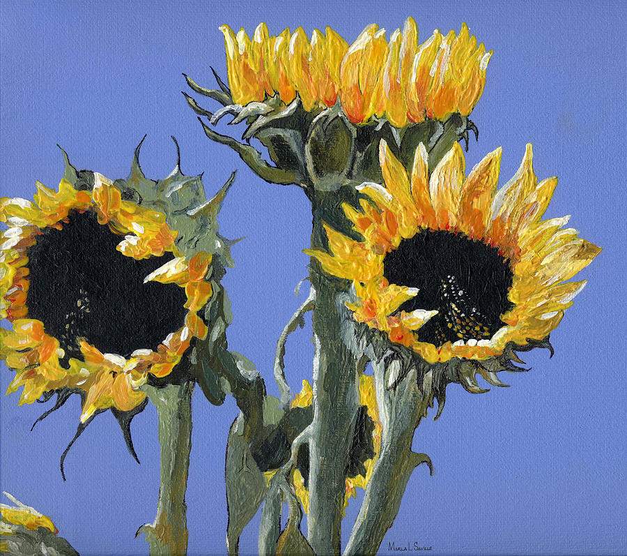 Sunflowers One Painting by Marla Saville