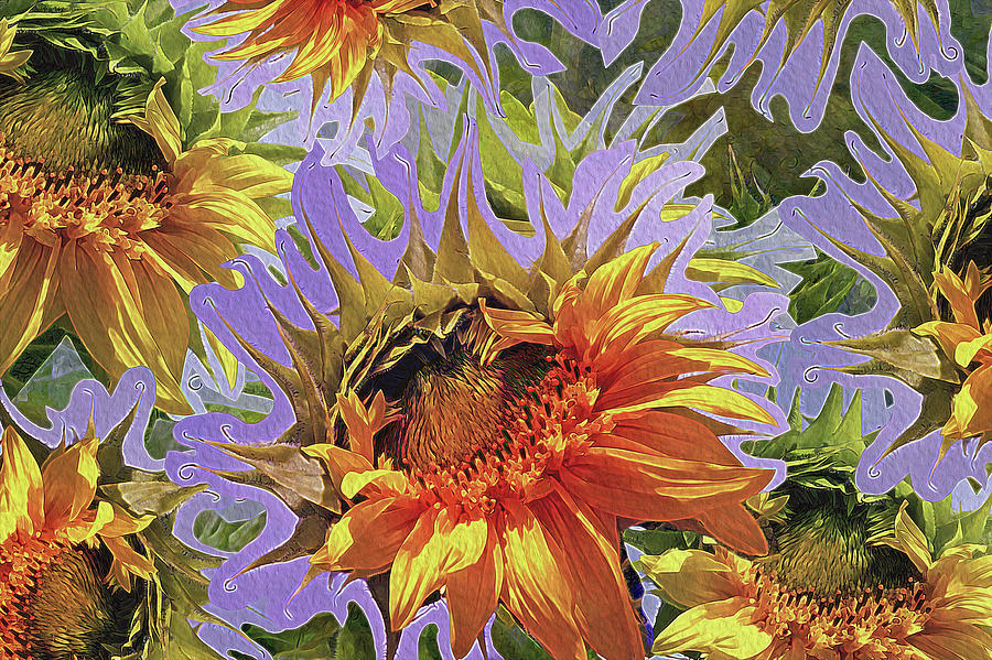 Sunflowers Rising 25 Photograph by Lynda Lehmann