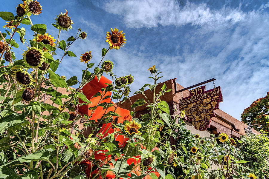 Sunflowers, Sculpture and Signage by Paul LeSage