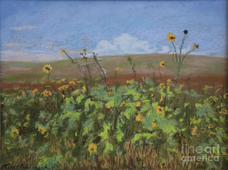 Sunflowers Pastel by Terry Anderson